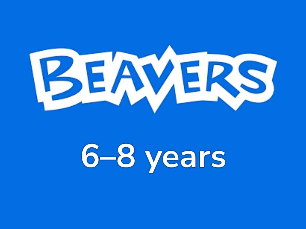 Lote Tree Scouts - Beavers2