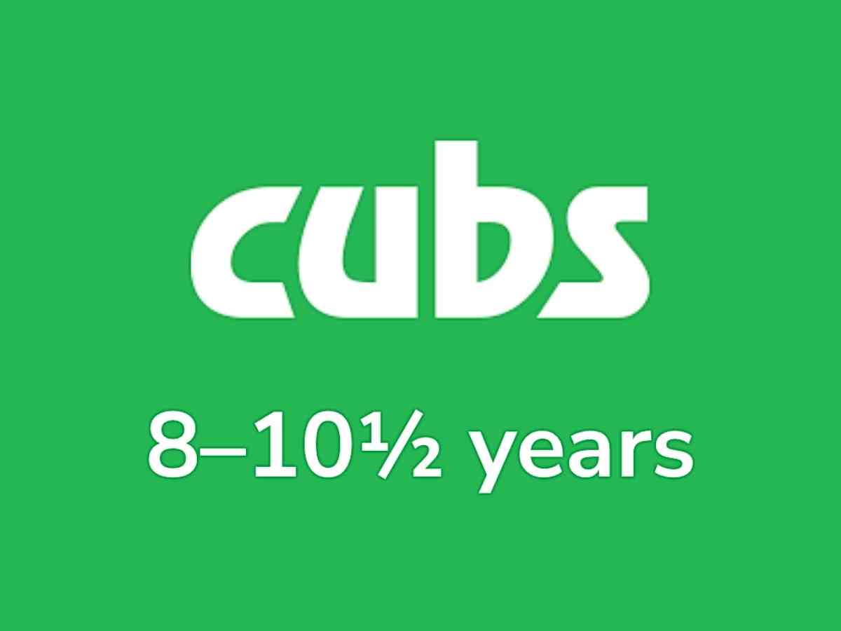 Lote Tree Scouts - Cubs2