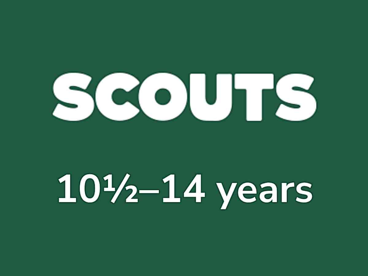 Lote Tree Scouts - Scouts2